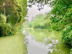 -桤木河湿地公园