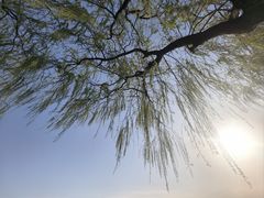 -济南国际园博园