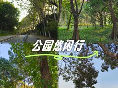 -东莞植物园