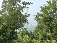 -千佛山风景名胜区