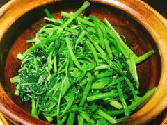 -熠盛粤味·顺德桑拿鸡(永康路店)