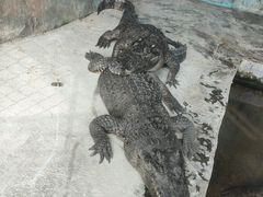 -昆明动物园