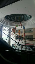 -西安市儿童医院门诊