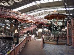 -南宫五洲植物乐园