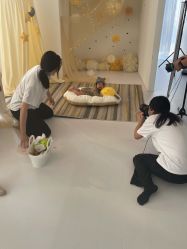 -Baby Pastel 自然光儿童摄影(CBD店)