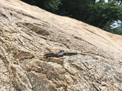 -碓臼峪自然风景区