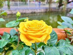 -人民公园(罗湖区)