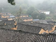 -杨家堂村