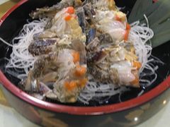 -渔娘渔家丹东海鲜(东直门店)