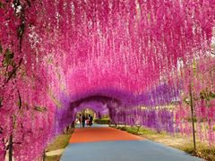 -广东花都香草世界旅游度假区