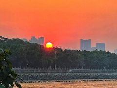 -深圳湾公园(南山区)