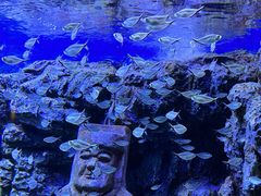 -北海海底世界