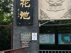 -莲花池公园