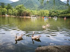 -西安秦岭野生动物园