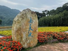 -广州市石门国家森林公园