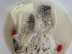 -全乐鱼馆·淳牌有机鱼直营店