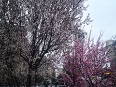 -南阳建业森林半岛假日酒店