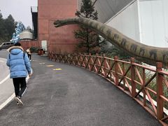 -梦幻奥陶纪景区