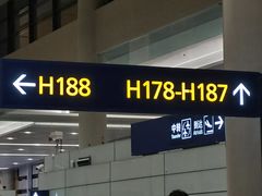 -上海浦东国际机场-T2航站楼
