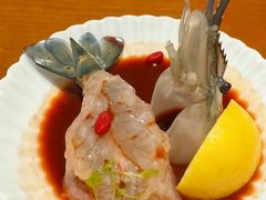 -觀芷隐轩