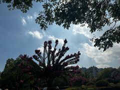 -杭州城北体育公园