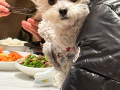 -慧娟面馆·餐厅(望江路店)