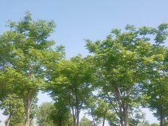 -盘龙城国家考古遗址公园