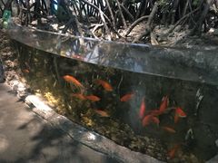 景点-中国湿地博物馆