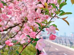 -龙美术馆(西岸馆)