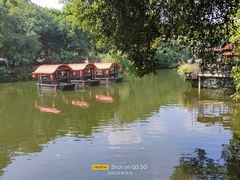 -侨美·唐荔园·40年地道粤菜