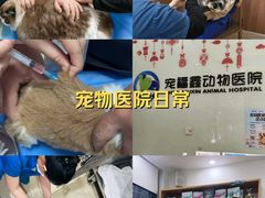 -宠福鑫动物医院(望京分院)