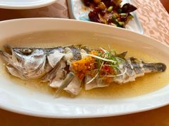 -新镇江酒家(南京西路店)