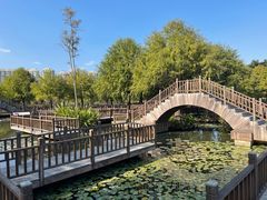 -五缘湾湿地公园