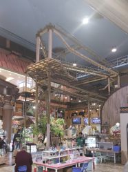 -卡通尼·Safari非洲探索乐园·生日会(金桥国际商业广场店)