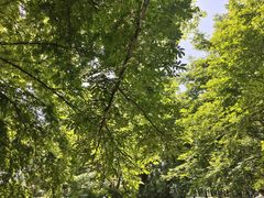 -西溪南古村落