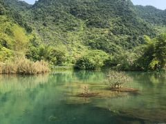 -靖西鹅泉风景区