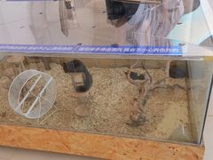 -怪兽屋·羊驼·猫咖·狗咖(俊华广场店)