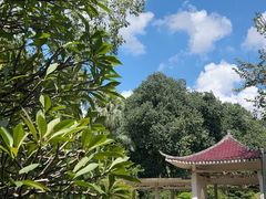 -南宁南湖公园