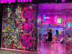 -BIG PINK大粉娃娃机主题馆(圆融星座店)