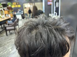 -藤野造型