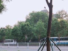 -中央民族大学