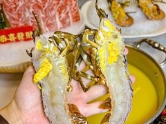 -喜聚薈·花膠雞海鮮火鍋(越秀店)