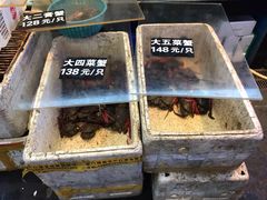 -莲花公园煎蟹(总店)