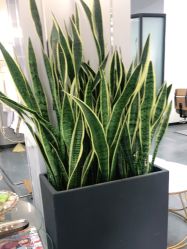 -FUTURE HN男士发型风格设计