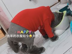 -宠物家(双井店)