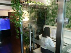 -圣典成人钢琴俱乐部(国贸旗舰校区)