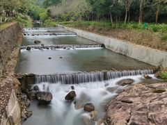 -广州白江湖森林公园