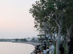 -宝安西湾红树林湿地公园