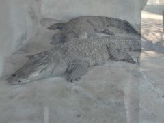 -昆明动物园