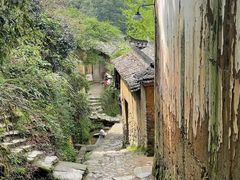 -杨家堂村